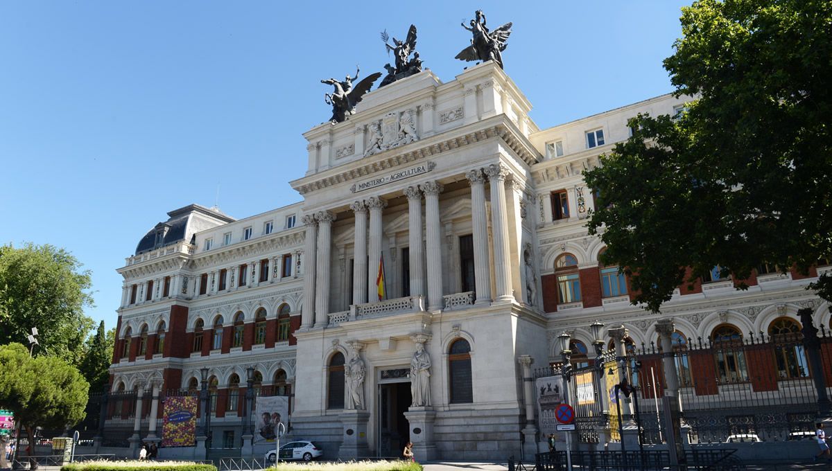 Agricultura crea un comité científico para frenar el brote de peste porcina africana