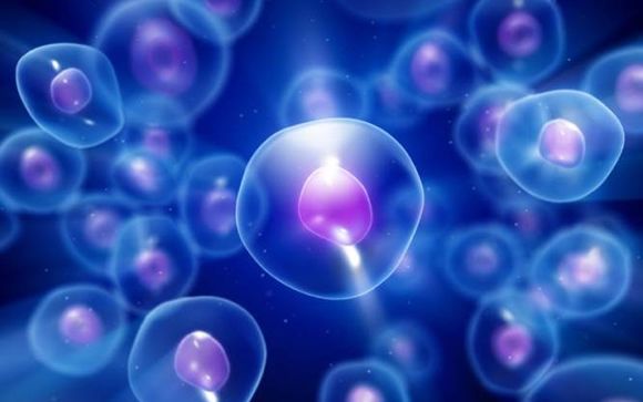 Descubren una nueva fuente de energía celular que podría ser útil en la  lucha contra el cáncer | ConSalud