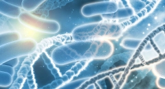 Desarrollan un recubrimiento capaz de impedir la adhesión de bacterias y reducir el riesgo de infecciones hospitalarias
