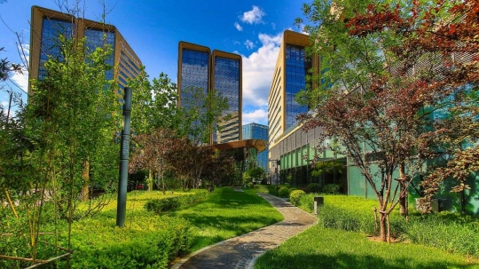 La lucha contra el cambio climático, motor de crecimiento y desarrollo económico