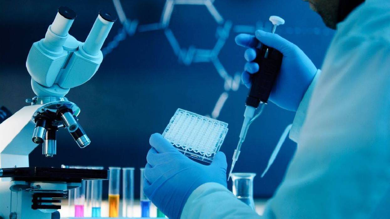 Diseñan un sistema molecular que neutraliza las células cancerosas con una precisión sin precedentes