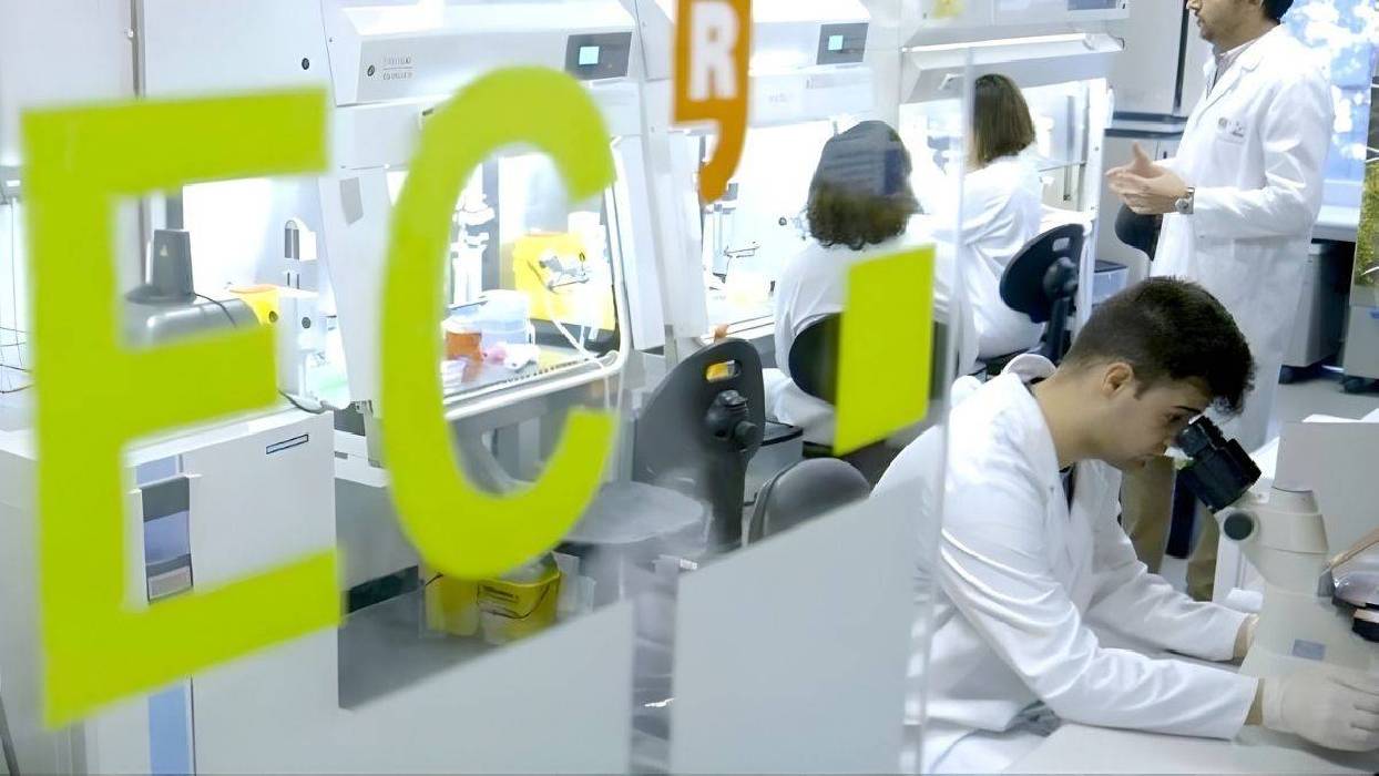 Descubren un papel clave de los protones y los iones superóxido en la cadena respiratoria