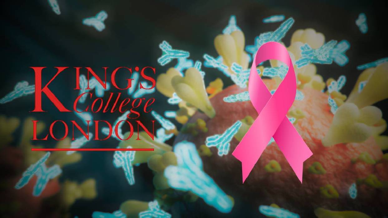 Científicos del King's College London desarrollan un anticuerpo que activa el sistema inmunitario contra el cáncer de mama 
