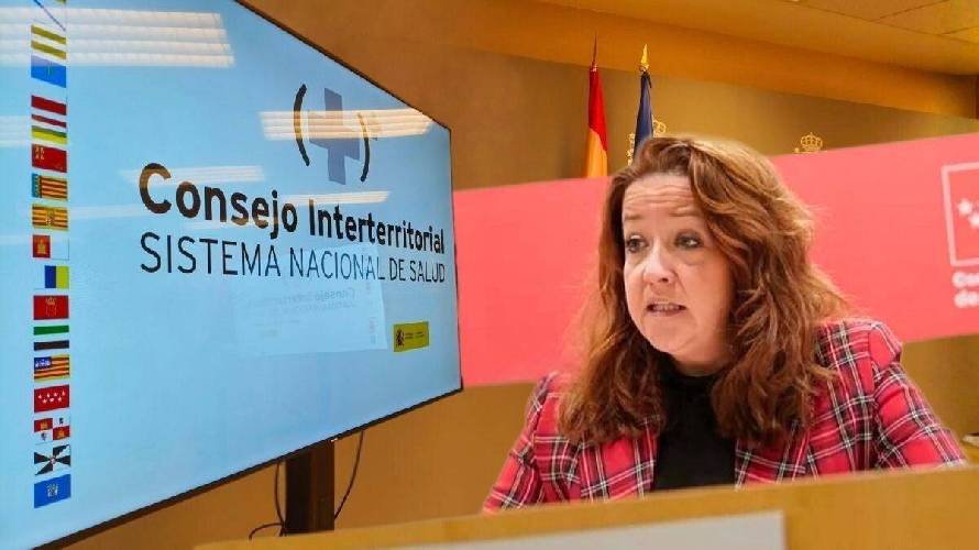 Matute pide un monográfico sobre el Estatuto Marco y denuncia 