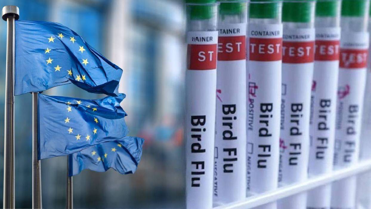 El ECDC presenta 14 escenarios de riesgo frente a la gripe aviar: ¿está preparada Europa para una pandemia?