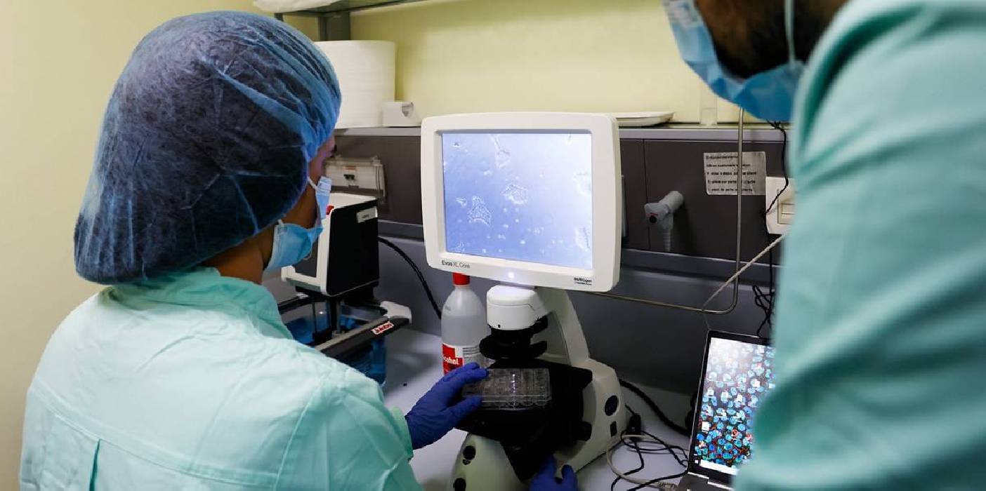 Confirman la seguridad del uso de células madre como tratamiento de la inflamación ocular