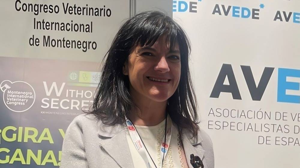 La universidad, ¿ventana al mundo de los veterinarios diplomados?: 