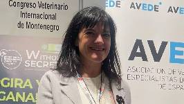 La universidad, ¿ventana al mundo de los veterinarios diplomados?: &quot;Es importante que se conozca esta vía&quot;