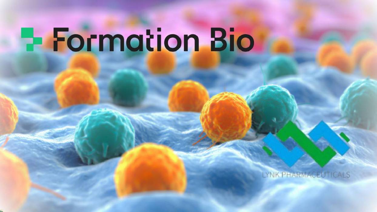 Formation Bio paga más de 520 millones de euros por los derechos de un activo de inmunología de Lynk Pharmaceuticals