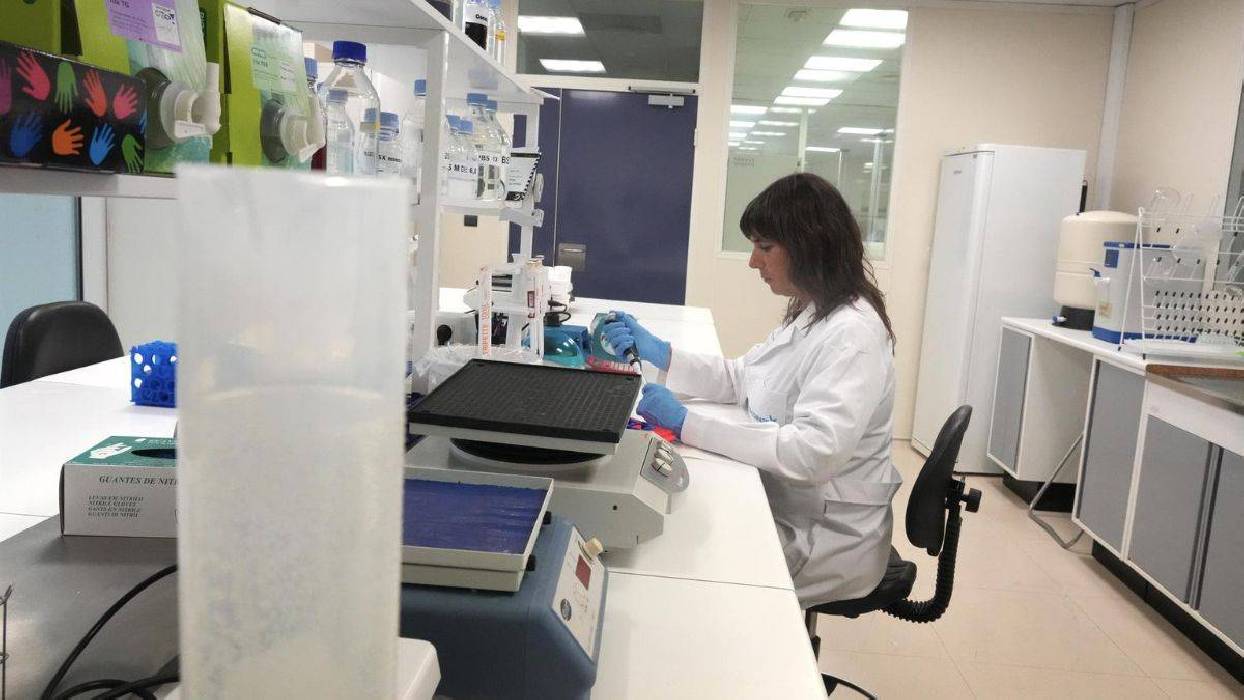 La experimentación animal disminuye en España: 