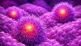 El entorno del tumor pancreático condiciona si el cáncer crece o resiste la quimioterapia