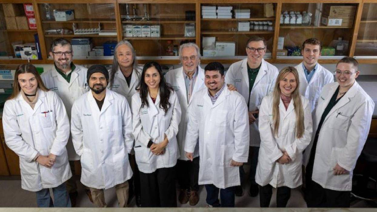 Identifican una nueva vía para hacer más eficaz el tratamiento de quimioterapia del cáncer de pulmón