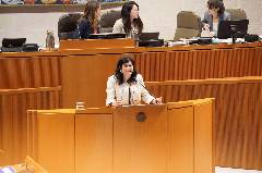 Aragón aprueba agilizar el acceso al tratamiento contra la piel de mariposa