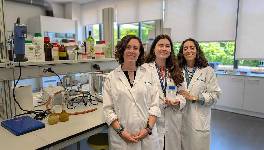 Aprovechan las proteína de grillo para crear una alternativa alimentaria "más sostenible"