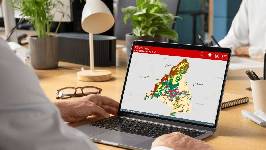 Madrid alerta por altos niveles de polen de gramíneas y olivo e insta a tomar medidas preventivas