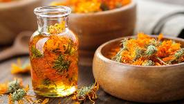 De adorno en el balcón a superalimento: la caléndula tiene tanta proteína como la quinoa