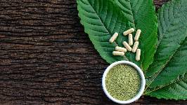 Fitoterapia de alta precisión: La evolución científica del cuidado natural