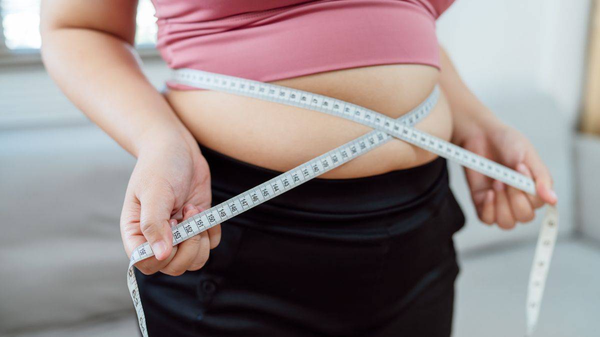 Weill Cornell Medicine study finds stress hormones drive obesity in mice