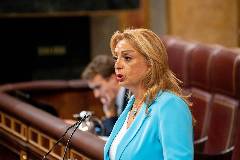 El Congreso tumba una moción para actualizar la clasificación profesional del personal sanitario en el Estatuto Marco