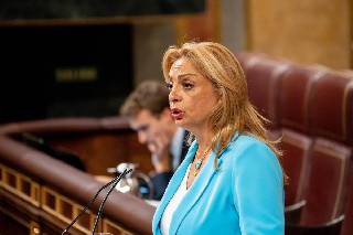 El Congreso tumba una moción para actualizar la clasificación profesional del personal sanitario en el Estatuto Marco