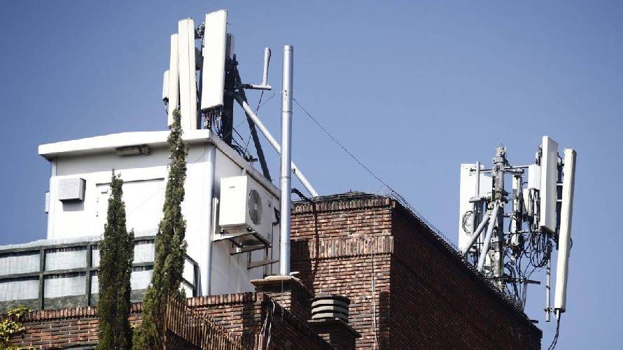 El CCARS pide más estudios sobre los posibles efectos reproductivos de las radiofrecuencias