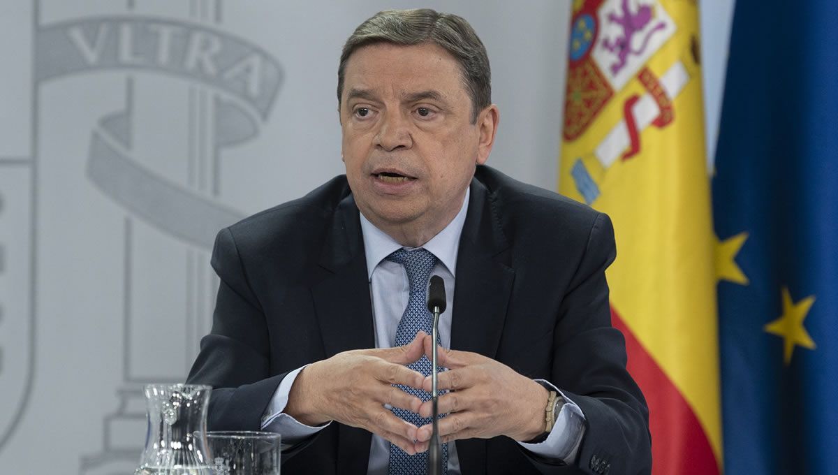 Agricultura no descarta que el origen de la peste porcina africana esté en el laboratorio que estudia la vacuna